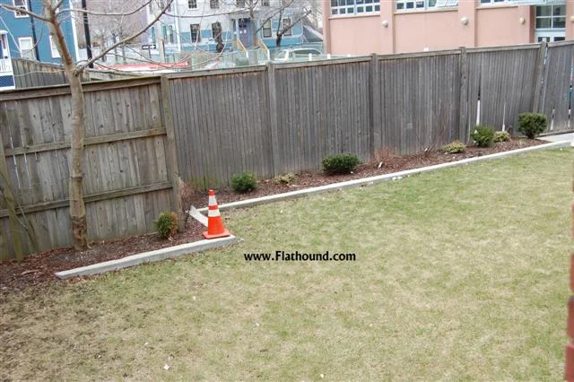 3 bed, 1 bath apartment for rent at 109 Windsor St Unit 4, The Port — photo 11 of 12