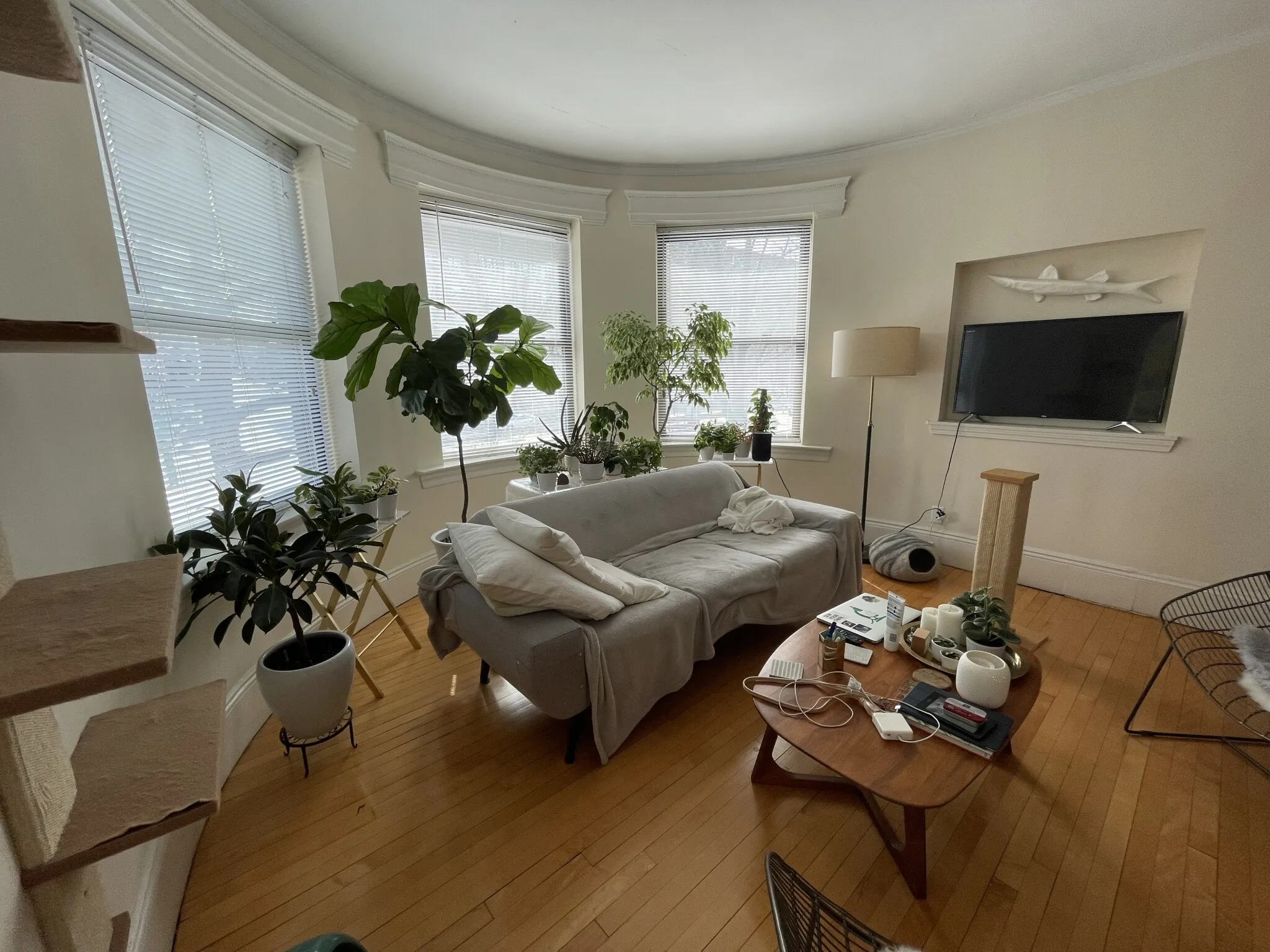 2 bed, 1 bath apartment for rent at 1090 Beacon St Unit 2, Brookline — photo 2 of 12