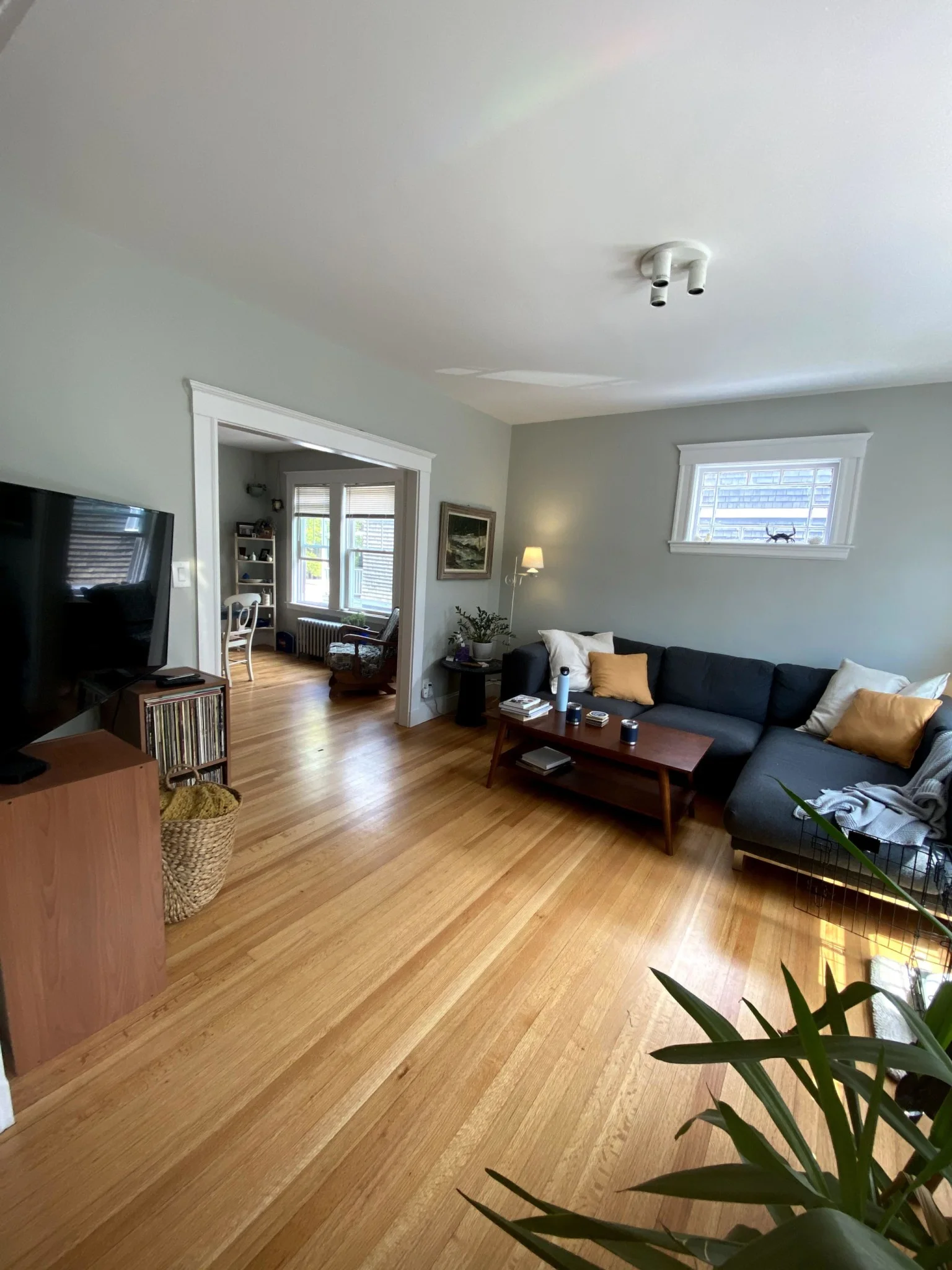 2 bed, 1 bath apartment for rent at 11-15 Stedman St Unit 2, Jamaica Plain