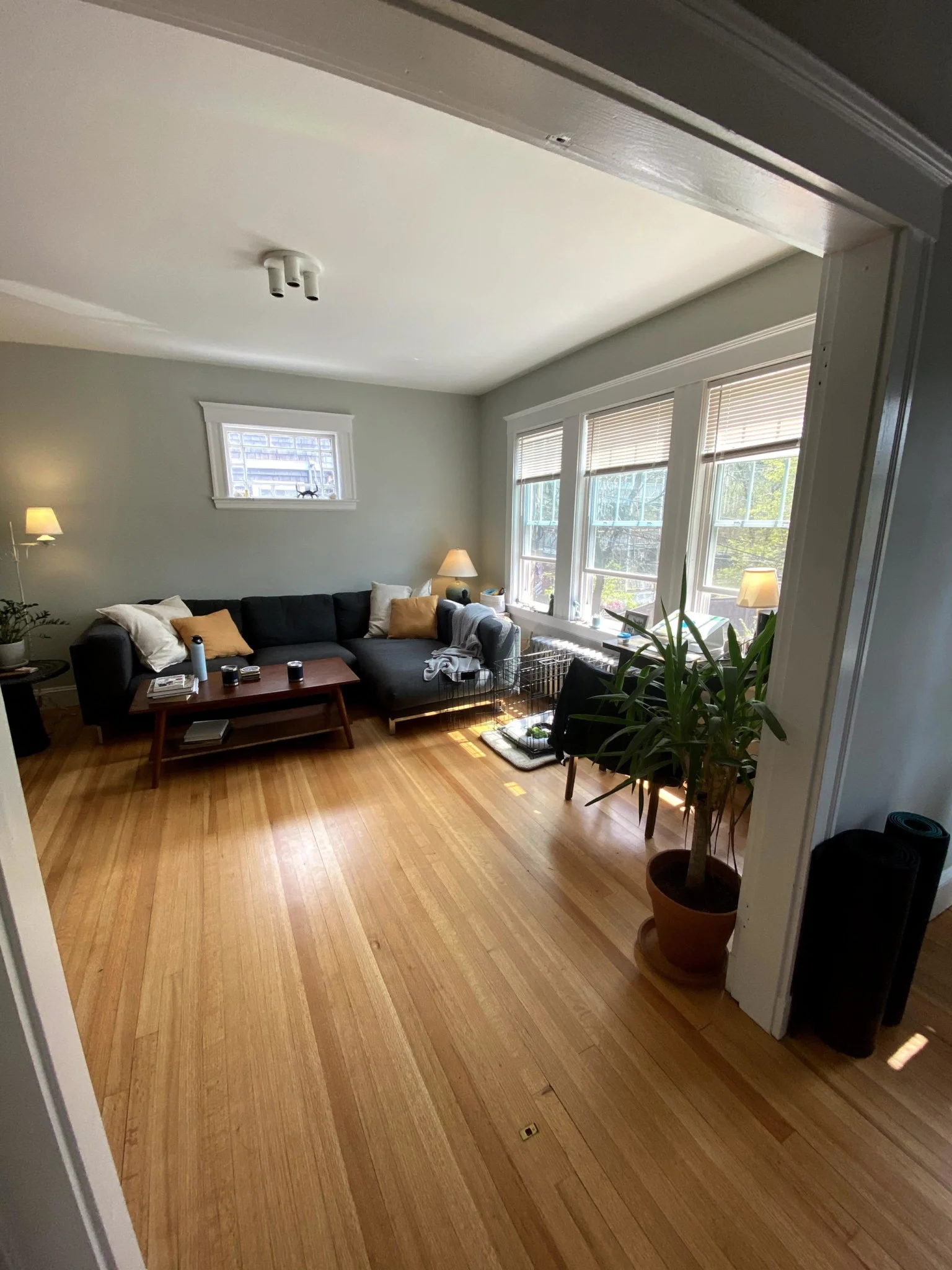 2 bed, 1 bath apartment for rent at 11-15 Stedman St Unit 2, Jamaica Plain — photo 2 of 25