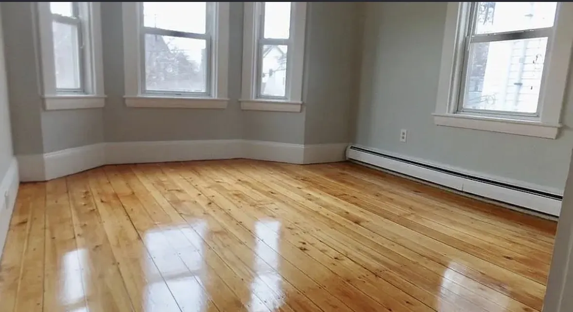 1 bed, 1 bath apartment for rent at 11 Adrian St Unit 2, Ward Two — photo 4 of 10
