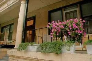 2 bed, 1 bath apartment for rent at 11 Carol Ave Unit 11, Brighton — photo 12 of 13