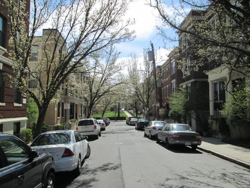 2 bed, 1 bath apartment for rent at 11 Carol Ave Unit 11, Brighton — photo 13 of 13