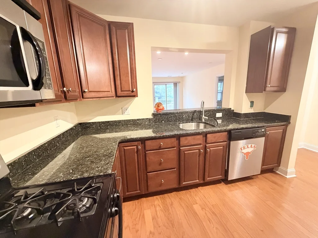 2 bed, 2 bath apartment for rent at 11 Cheriton Rd Unit 107, West Roxbury — photo 3 of 13