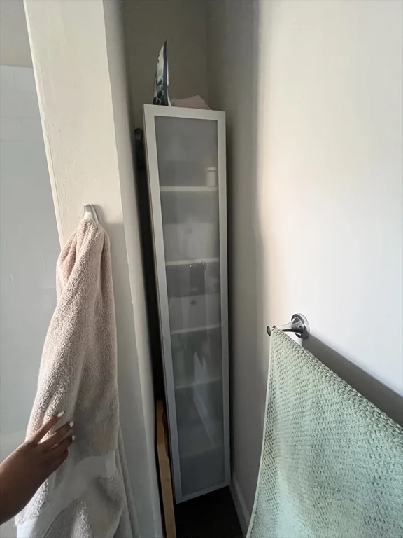 2 bed, 2 bath apartment for rent at 11 Church St Unit 3, Union Square — photo 16 of 17