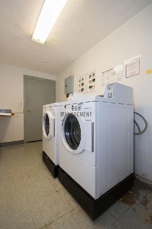 2 bed, 1 bath apartment for rent at 11 Commonwealth Ct Unit 1, Brighton — photo 4 of 8