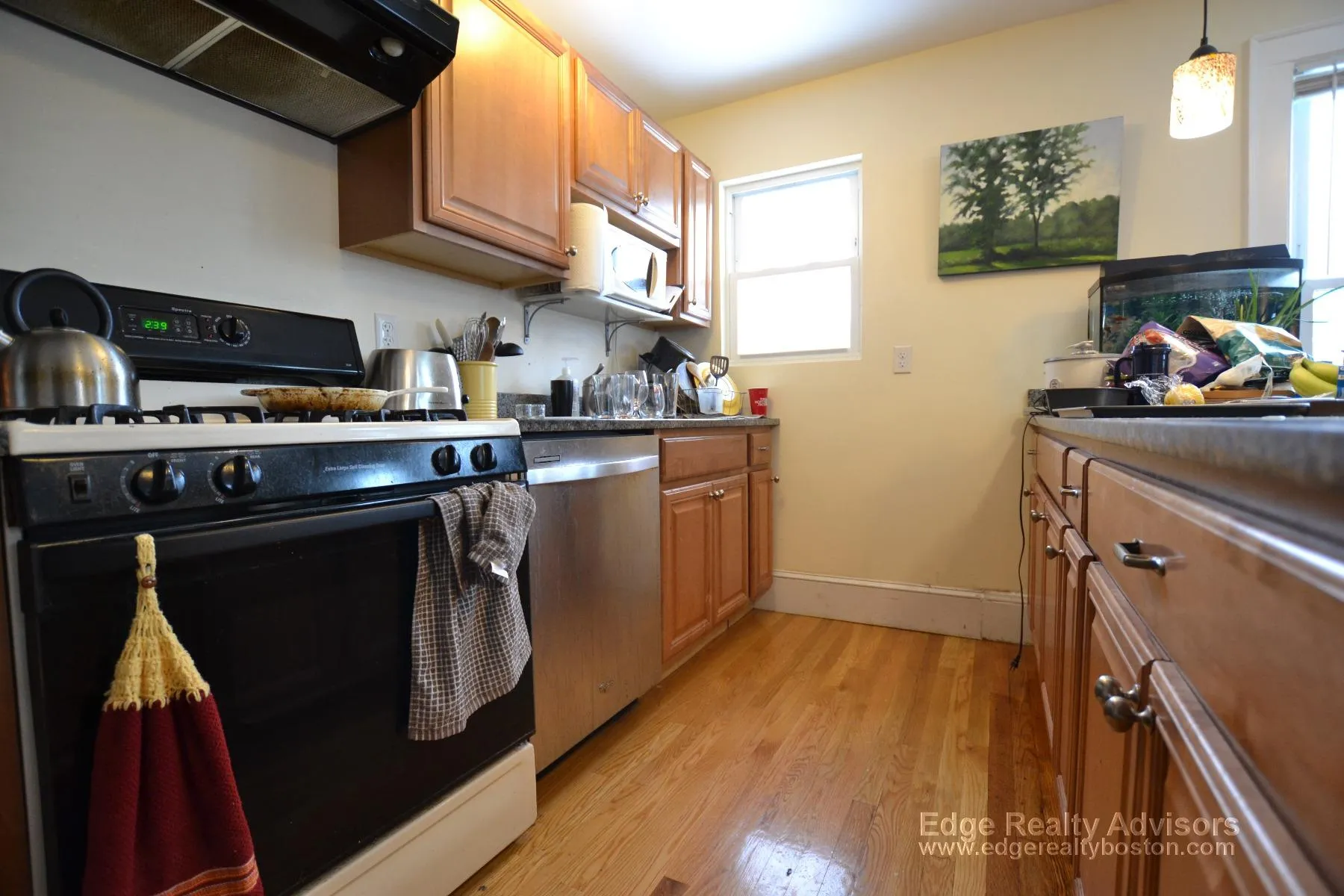 4 bed, 2 bath apartment for rent at 11 Donnybrook Rd Unit 2, Brighton — photo 3 of 14