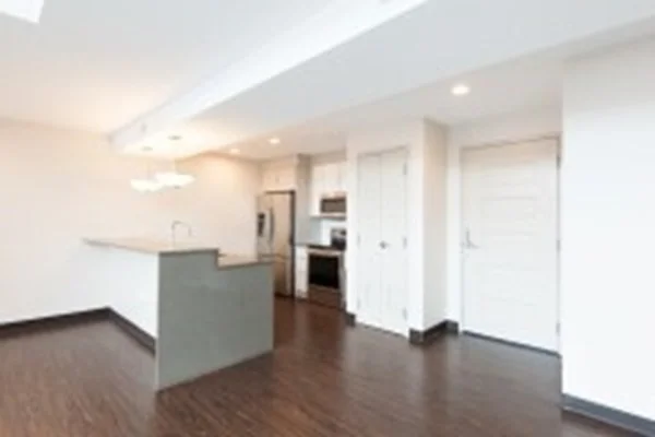 1 bed, 1 bath apartment for rent at 11 Dorchester St Unit 302, South Boston — photo 4 of 18