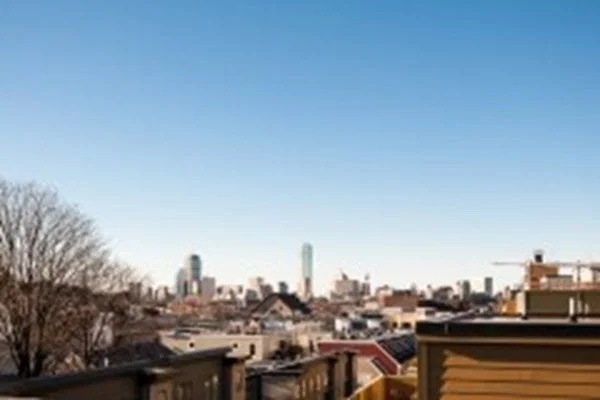 1 bed, 1 bath apartment for rent at 11 Dorchester St Unit 302, South Boston — photo 18 of 18