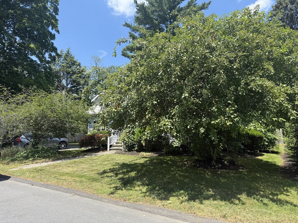 3 bed, 3 bath apartment for rent at 11 Durant Rd, Wellesley — photo 26 of 28