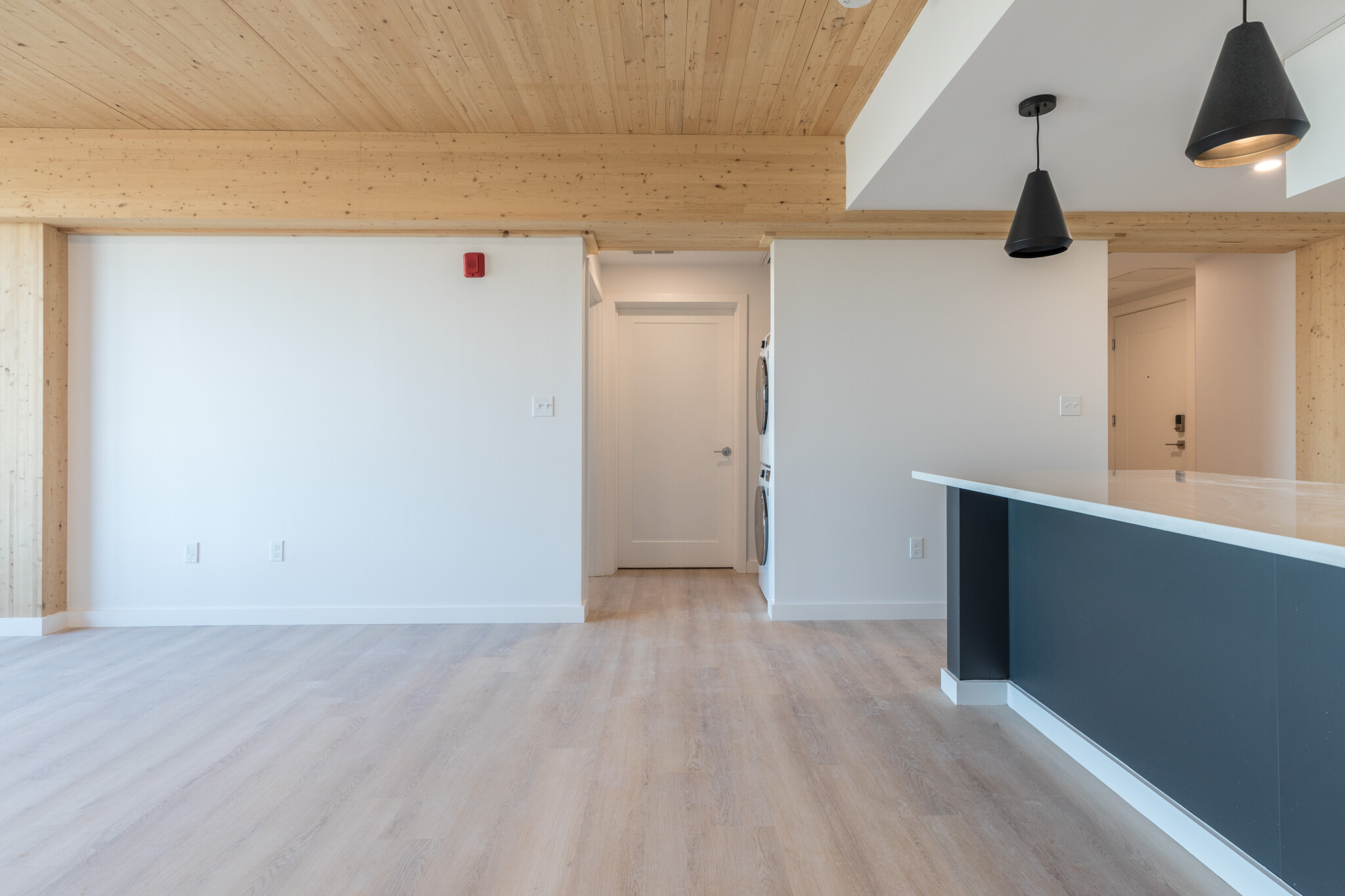 3 bed, 2 bath apartment for rent at 11 East Lenox St Unit 700, Roxbury — photo 4 of 17