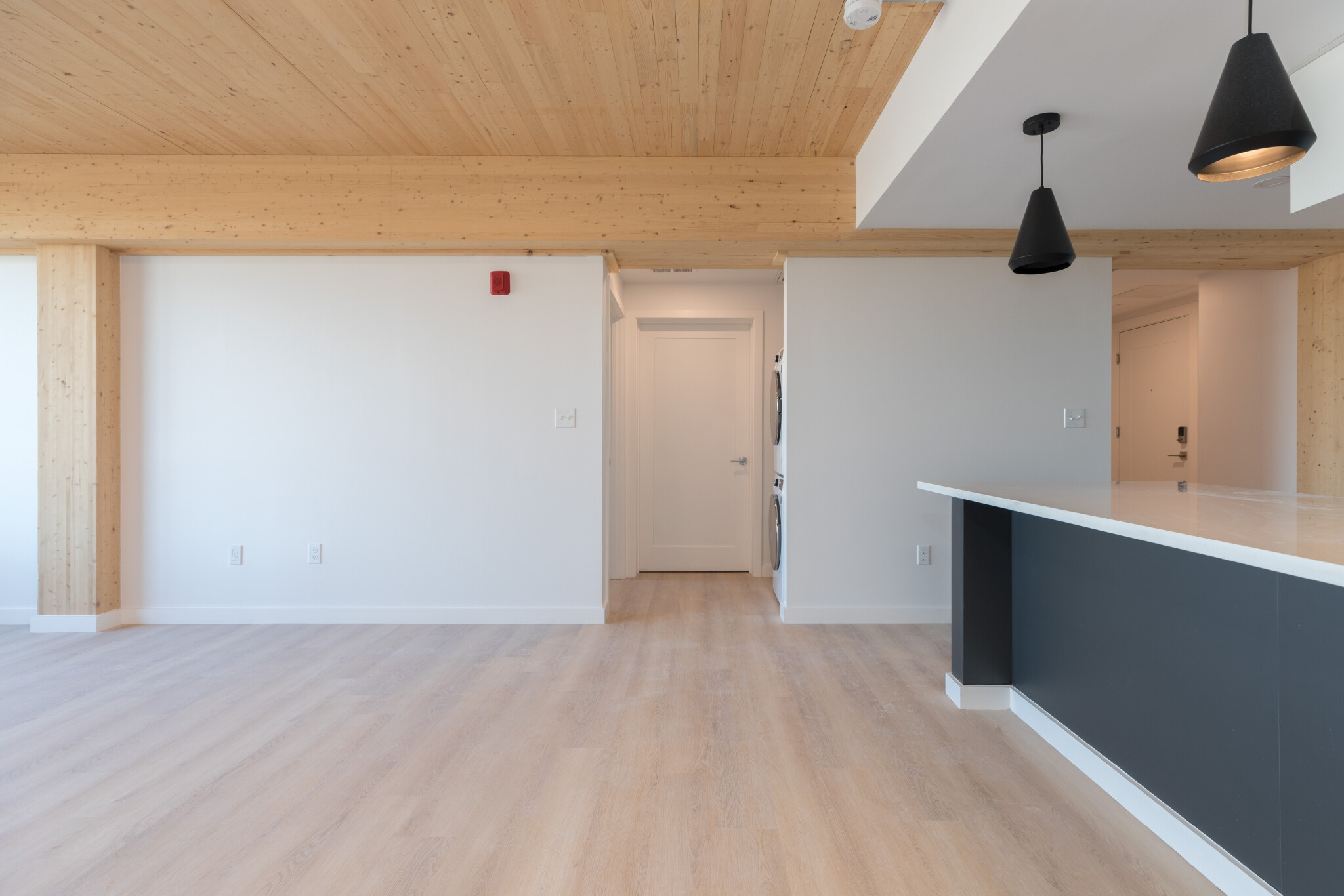 3 bed, 2 bath apartment for rent at 11 East Lenox St Unit 700, Roxbury — photo 6 of 17