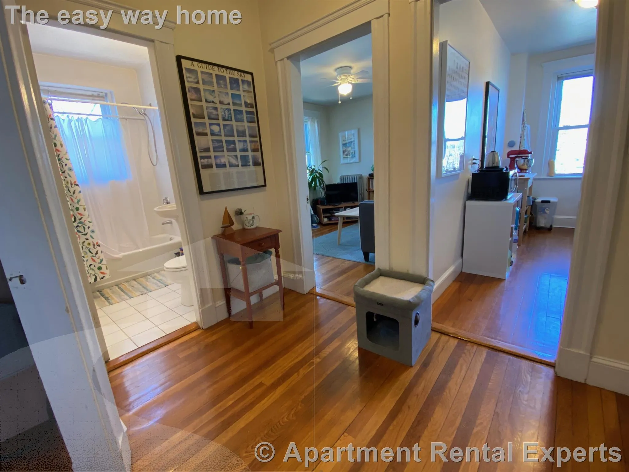 1 bed, 1 bath apartment for rent at 11 Ellery St Unit 10, Mid Cambridge — photo 1 of 12