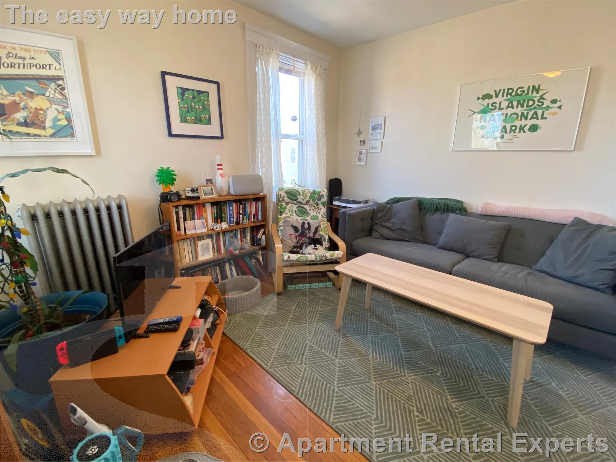 1 bed, 1 bath apartment for rent at 11 Ellery St Unit 10, Mid Cambridge — photo 3 of 12