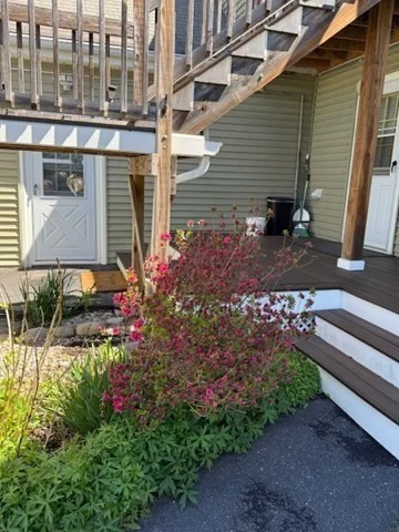 1 bed, 1 bath apartment for rent at 11 Elm St Unit 4, Ayer — photo 4 of 14
