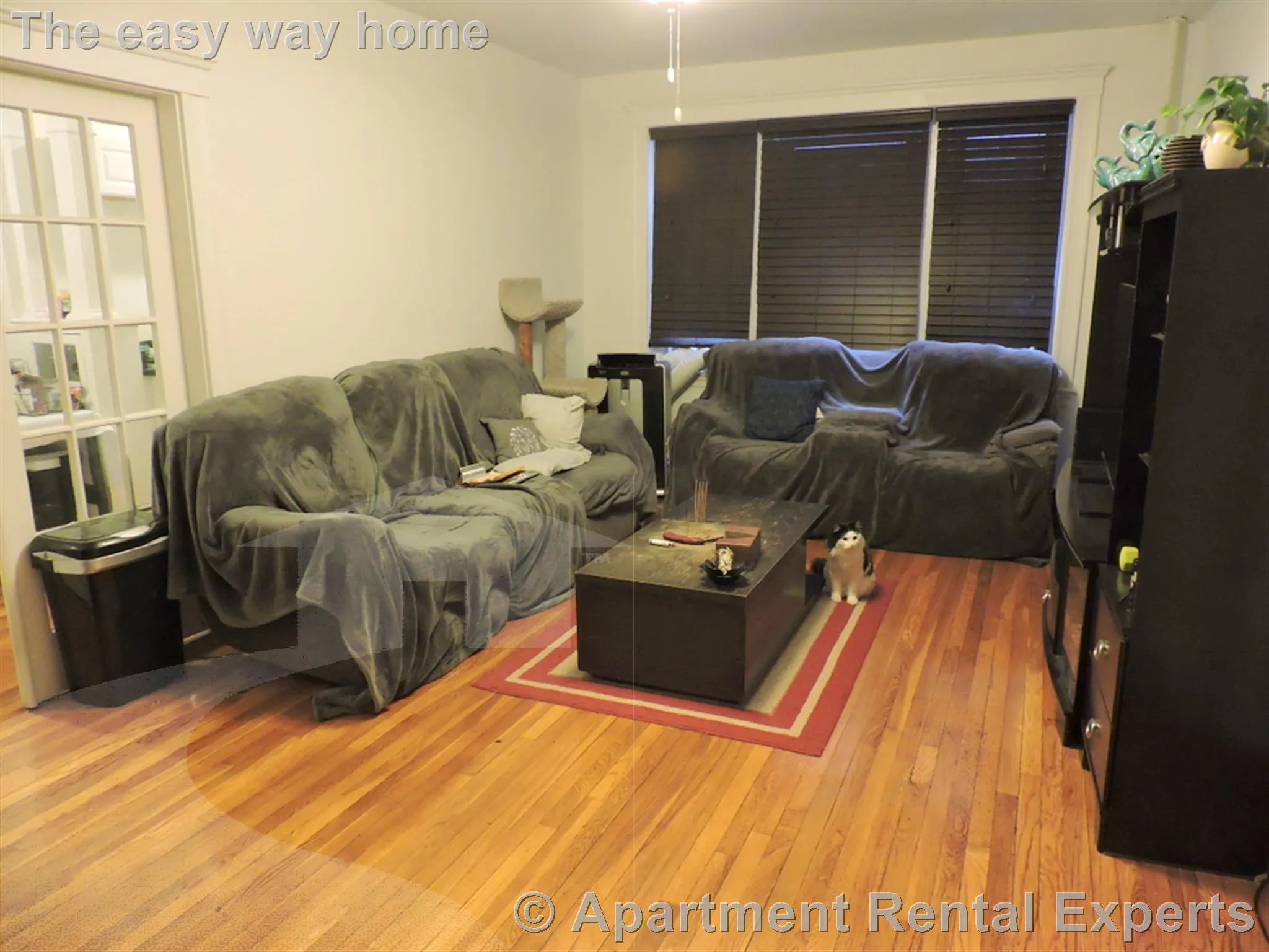1 bed, 1 bath apartment for rent at 11 Gray St Unit 2, Porter Square — photo 5 of 15