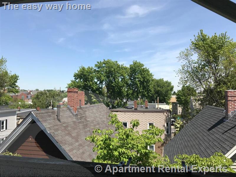 4 bed, 1 bath apartment for rent at 11 Harold St Unit 3, Ward Two — photo 8 of 8