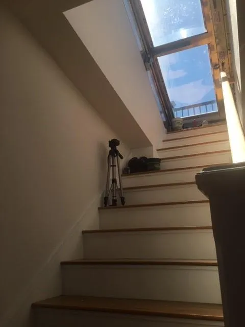 4 bed, 3 bath apartment for rent at 11 Highland Park Ave Unit 2, Roxbury — photo 12 of 13