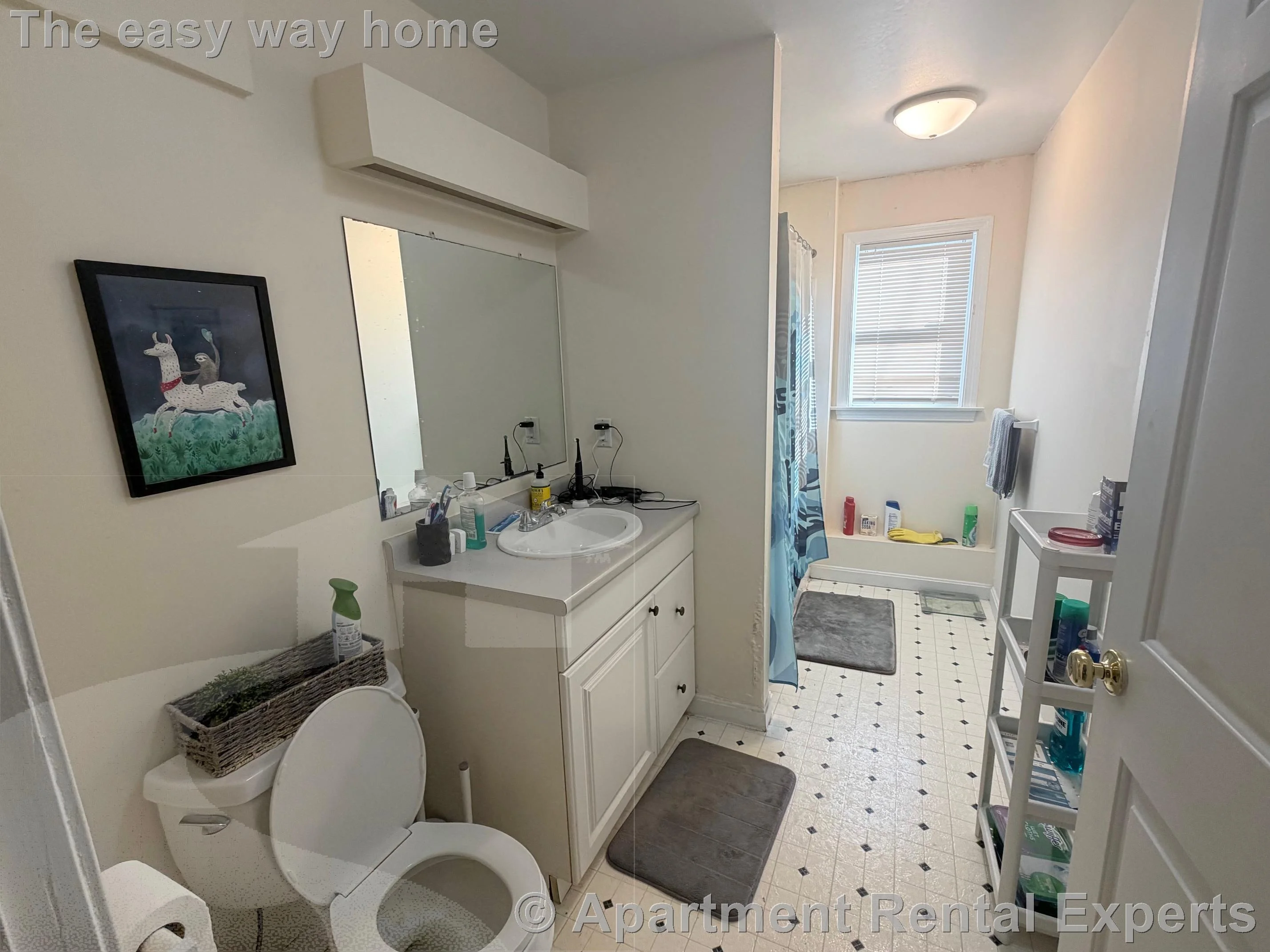 3 bed, 1 bath apartment for rent at 11 Kent Ct Unit 1, Porter Square — photo 7 of 10