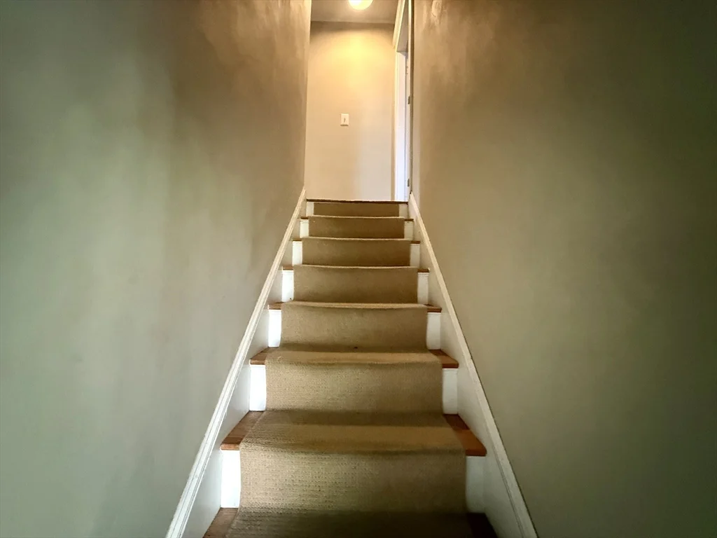 3 bed, 1 bath apartment for rent at 11 Kilsyth Ter Unit n/a, Brighton — photo 14 of 22