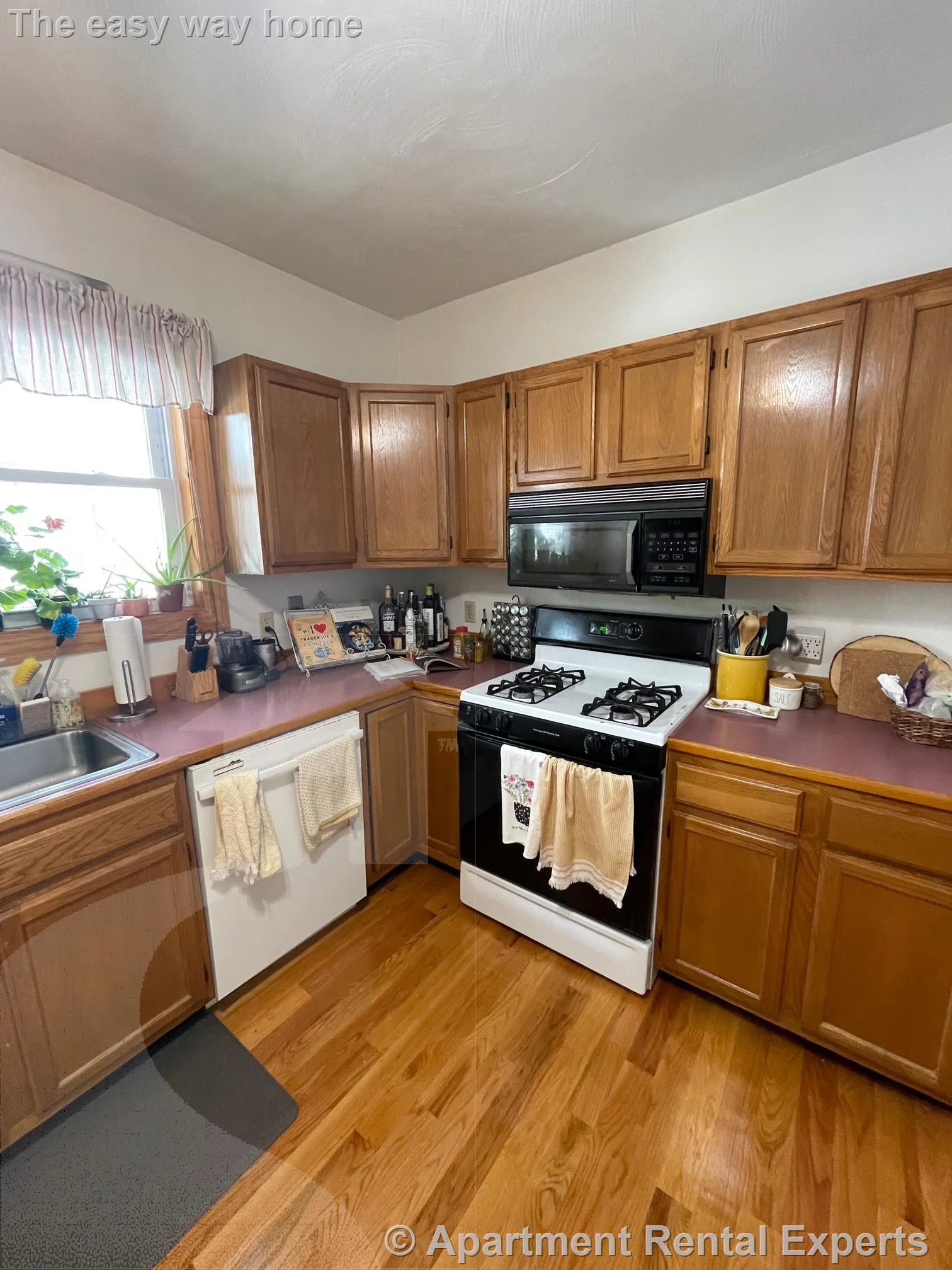 2 bed, 1 bath apartment for rent at 11 Ossipee Rd Unit 1, Teele Square — photo 2 of 15