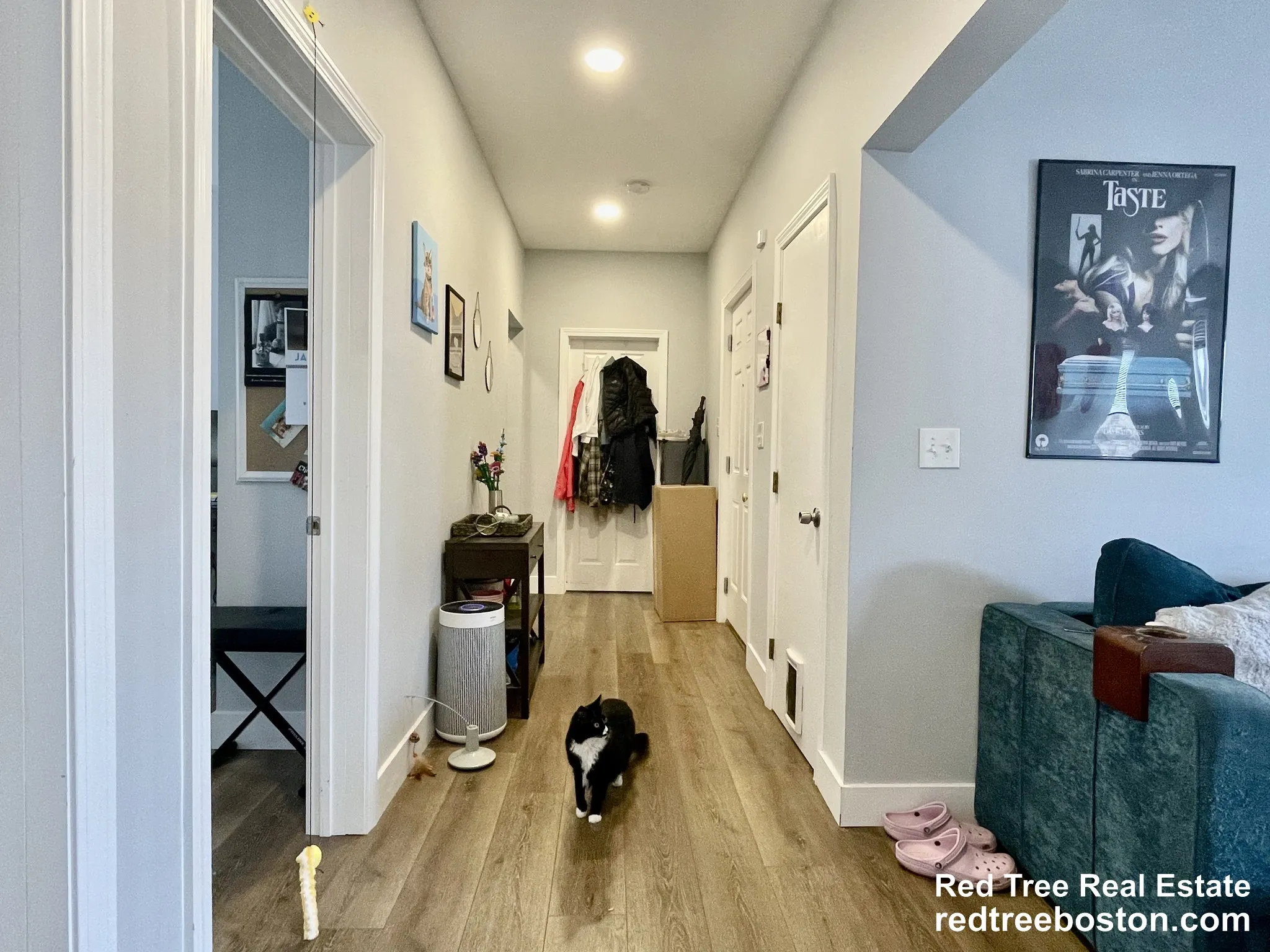 4 bed, 2 bath apartment for rent at 11 Pearl Ter Unit 1, East Somerville — photo 20 of 34