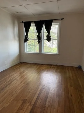 3 bed, 1 bath apartment for rent at 11 Richards Rd, Atlantic Hill — photo 19 of 31
