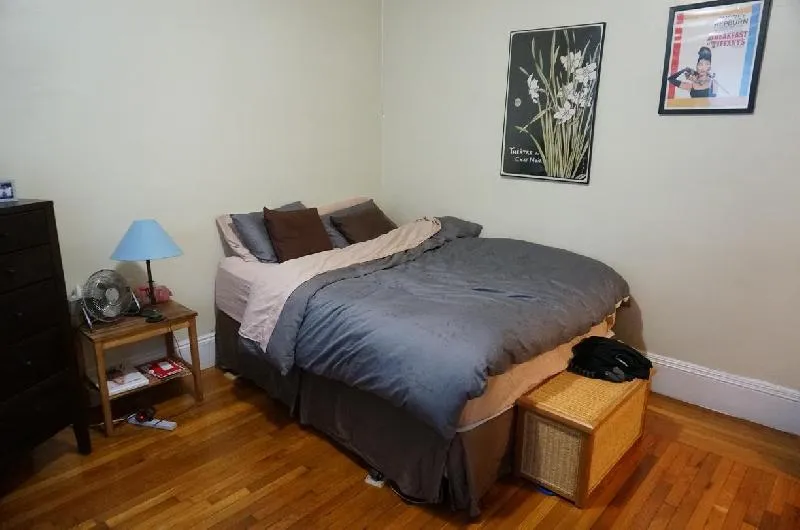 Studio bed, 1 bath apartment for rent at 11 Royce Rd Unit 20, Brighton — photo 1 of 16