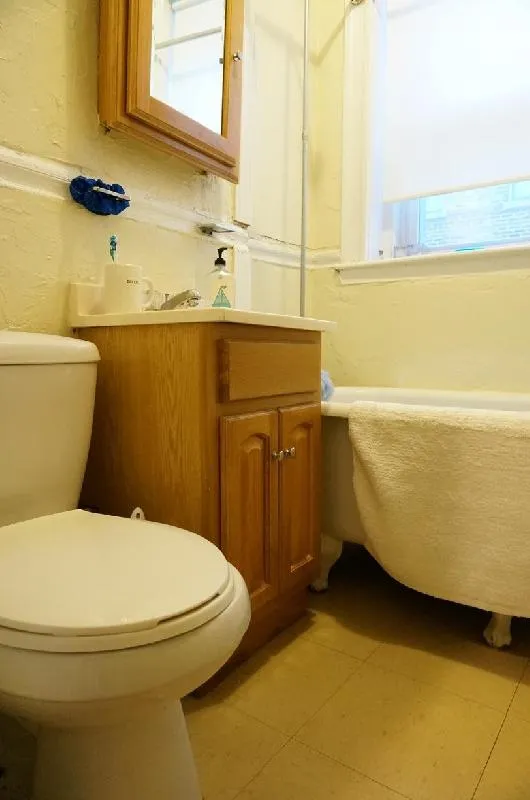 Studio bed, 1 bath apartment for rent at 11 Royce Rd Unit 20, Brighton — photo 7 of 16