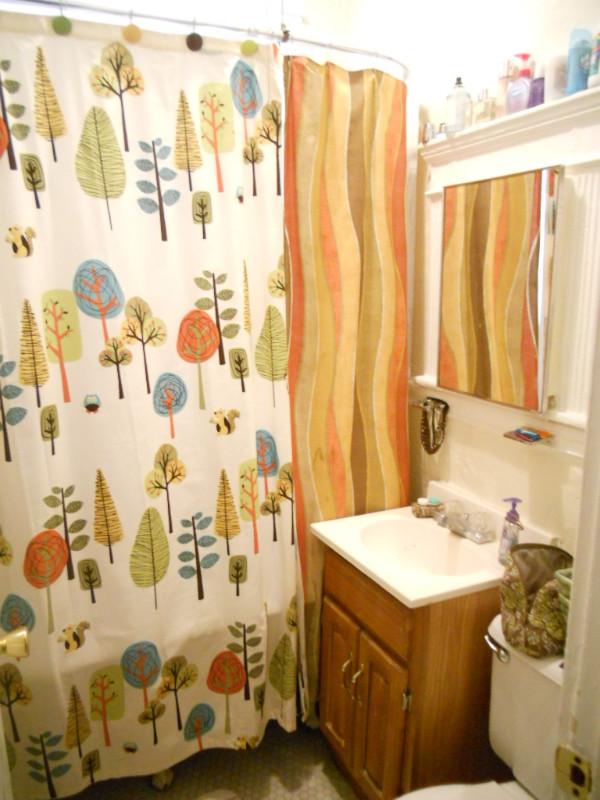 Studio bed, 1 bath apartment for rent at 11 Royce Rd Unit 22, Brighton — photo 1 of 8