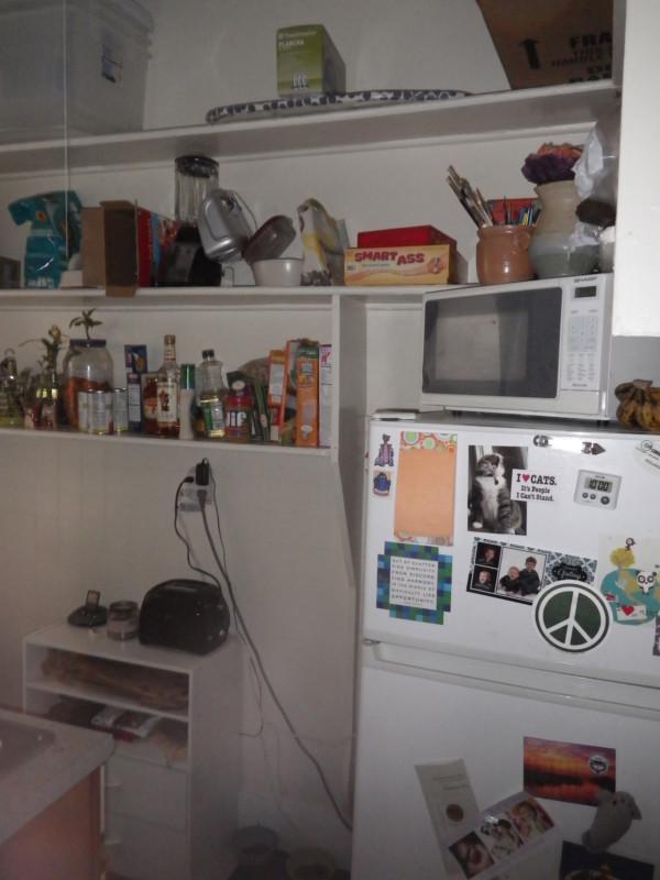Studio bed, 1 bath apartment for rent at 11 Royce Rd Unit 22, Brighton — photo 3 of 8