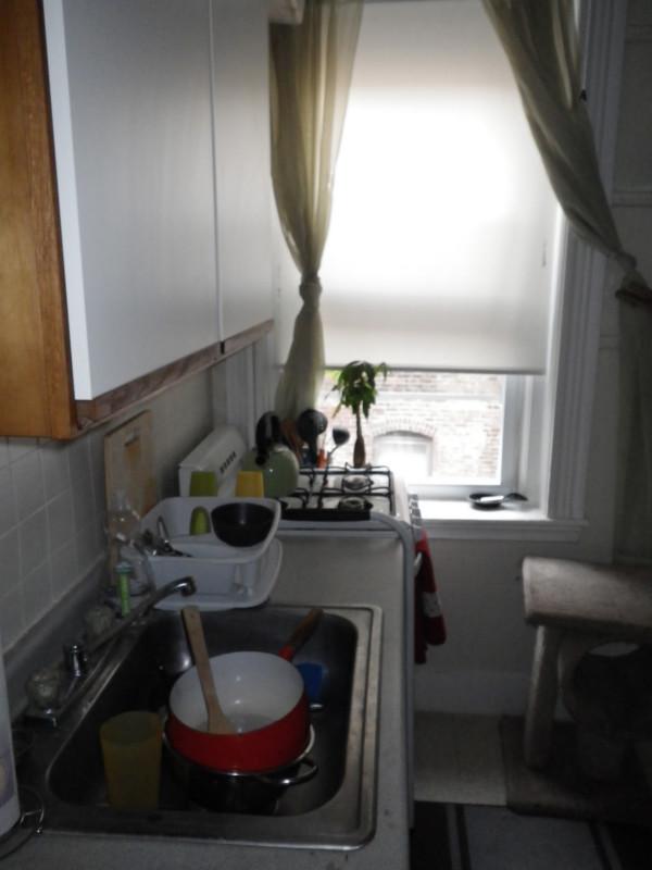 Studio bed, 1 bath apartment for rent at 11 Royce Rd Unit 22, Brighton — photo 2 of 8