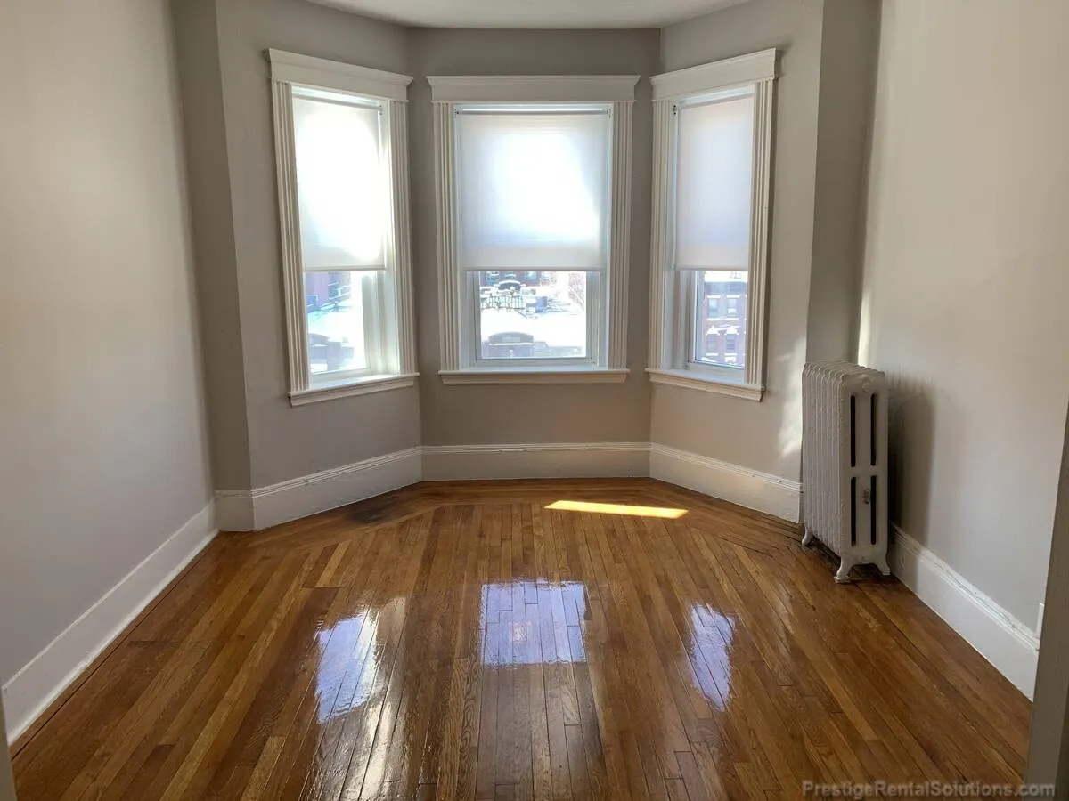 Studio bed, 1 bath apartment for rent at 11 Royce Rd Unit 4, Brighton — photo 4 of 8
