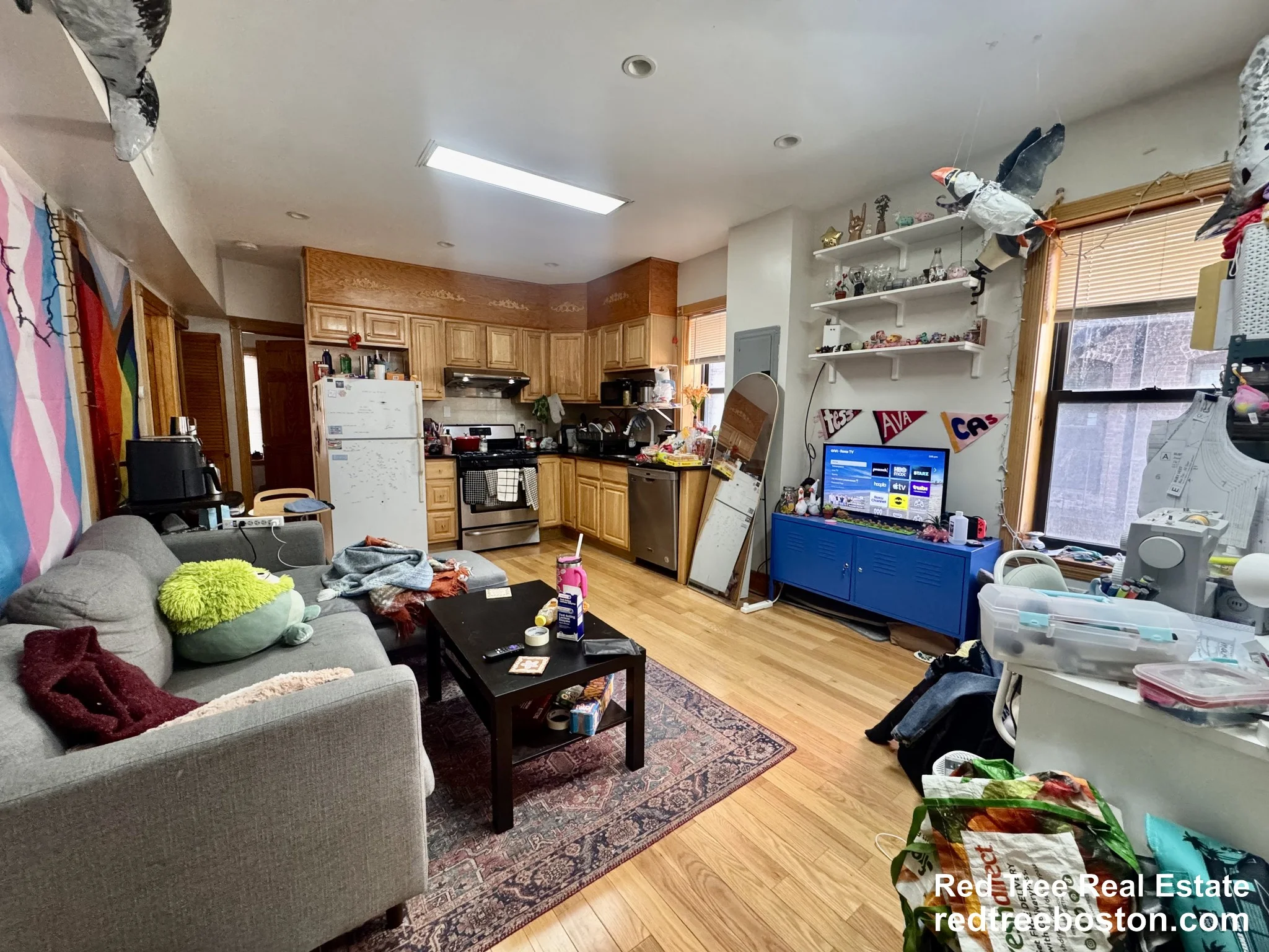 2.5 bed, 1 bath apartment for rent at 11 Tabor Pl Unit 1, Central Village