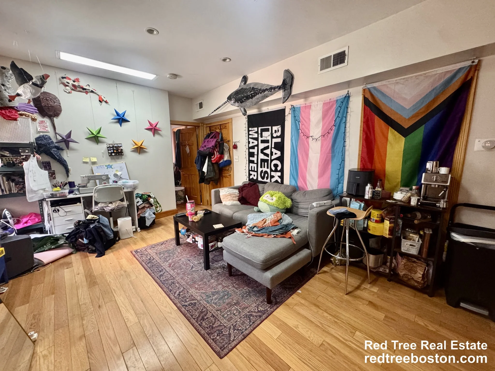 2.5 bed, 1 bath apartment for rent at 11 Tabor Pl Unit 1, Central Village — photo 3 of 7