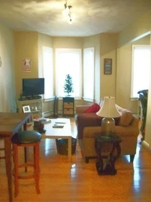 1 bed, 1 bath apartment for rent at 11 Telegraph Unit 2, South Boston — photo 4 of 7
