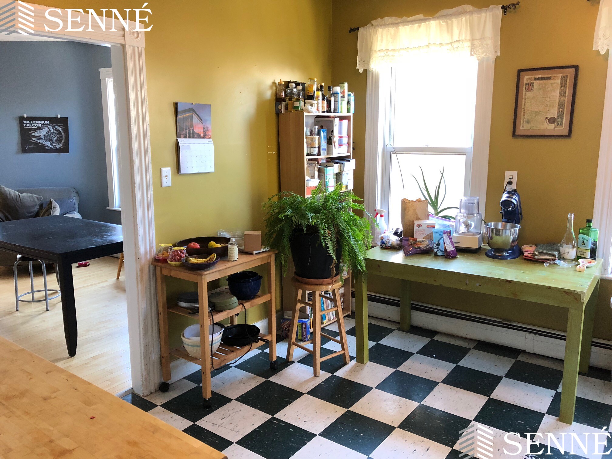 3 bed, 1 bath apartment for rent at 11 Thorndike St Unit 2, Davis Square — photo 4 of 14