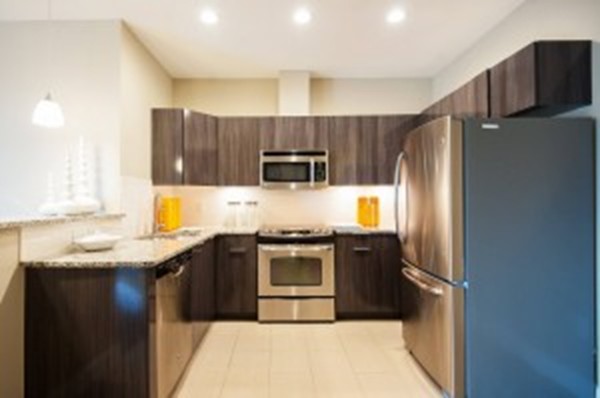 1 bed, 1 bath apartment for rent at 11 West Broadway Unit 203, South Boston