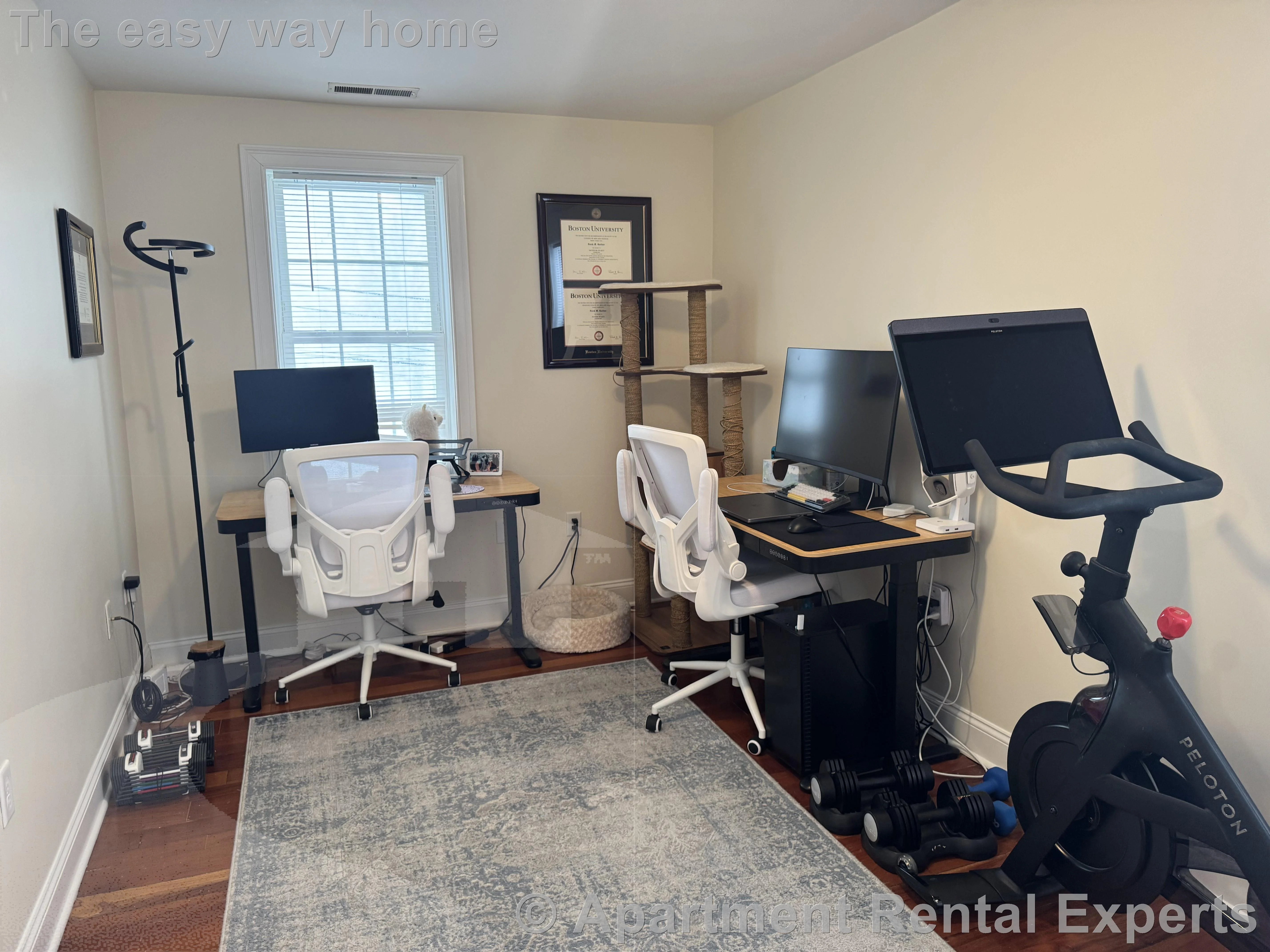 2 bed, 1 bath apartment for rent at 11 Winthrop Ct, Tufts — photo 11 of 21