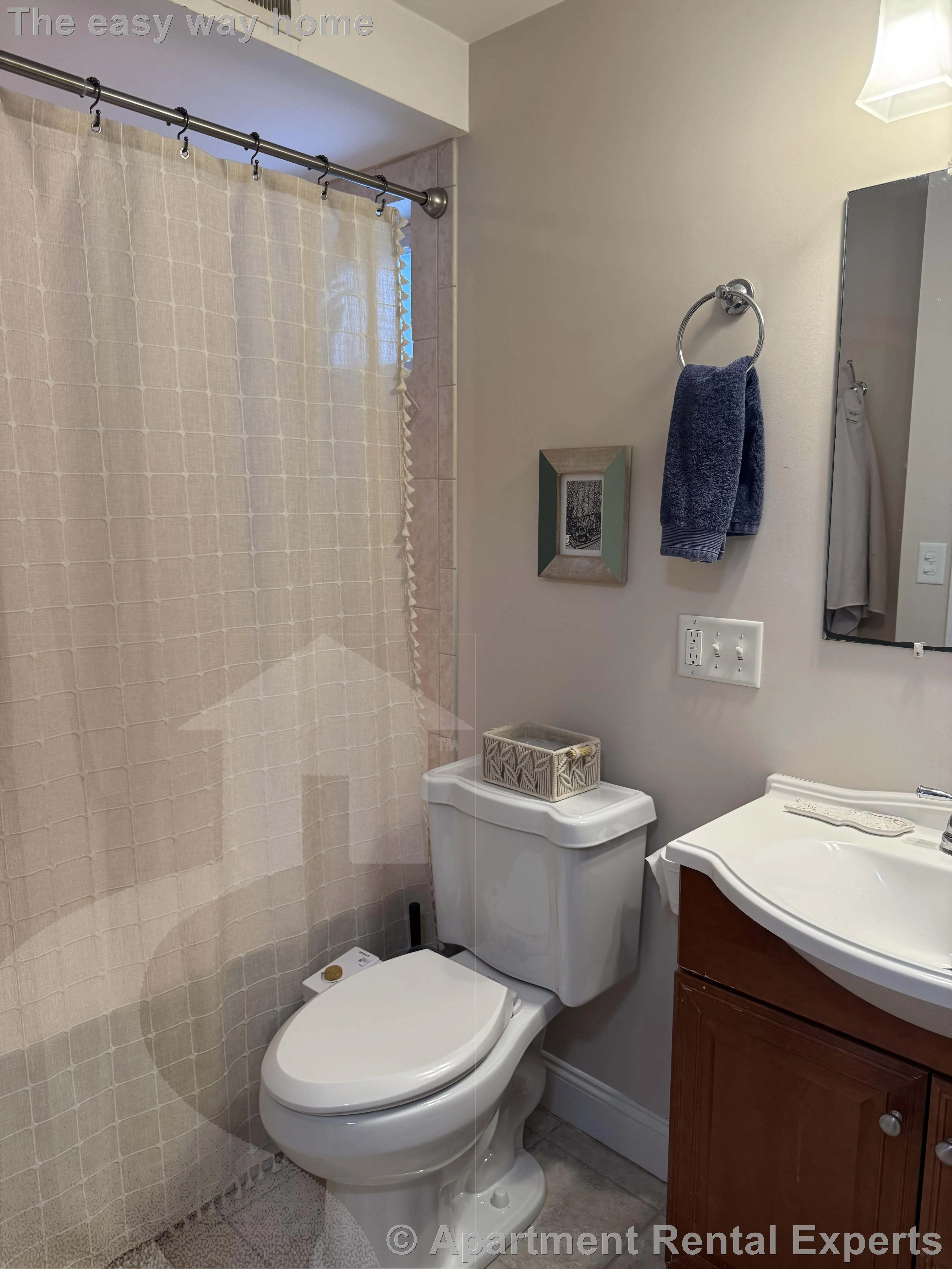 2 bed, 1 bath apartment for rent at 11 Winthrop Ct, Tufts — photo 14 of 21