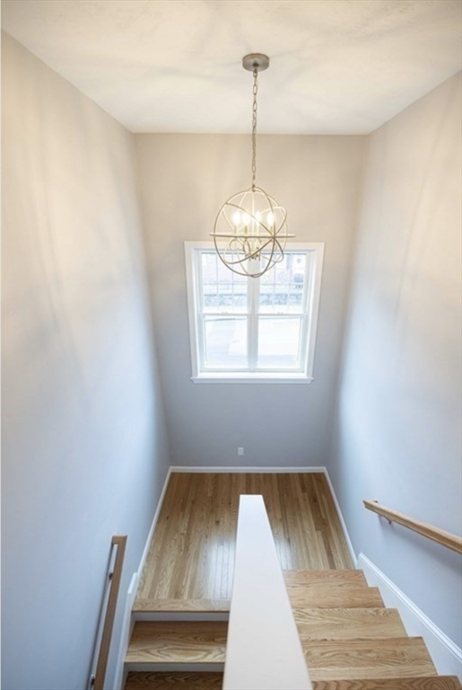 4 bed, 3 bath apartment for rent at 110 Apricot St, Webster Square — photo 12 of 34