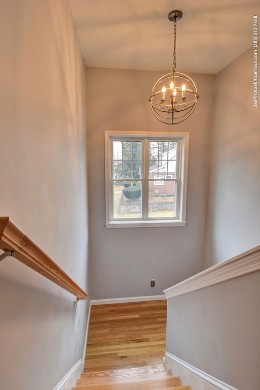 4 bed, 3 bath apartment for rent at 110 Apricot St, Webster Square — photo 11 of 34