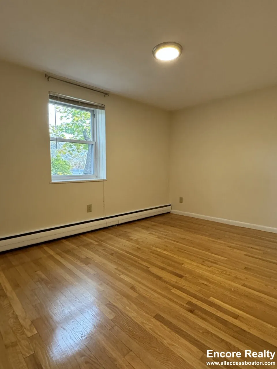 2 bed, 1 bath apartment for rent at 110 Babcock St Unit 3A, North Brookline — photo 11 of 22