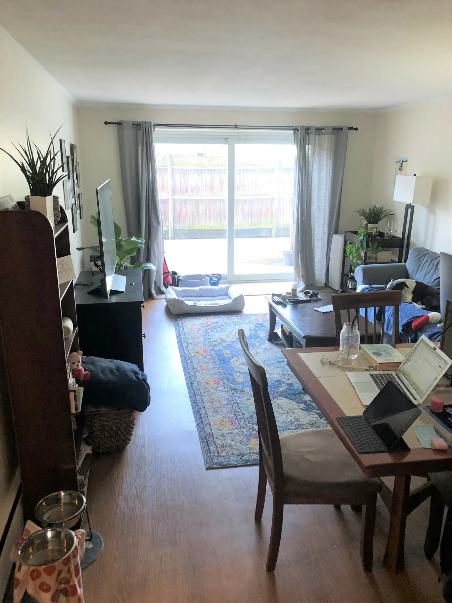 1 bed, 1 bath apartment for rent at 110 Babcock St Unit P2, North Brookline — photo 1 of 15