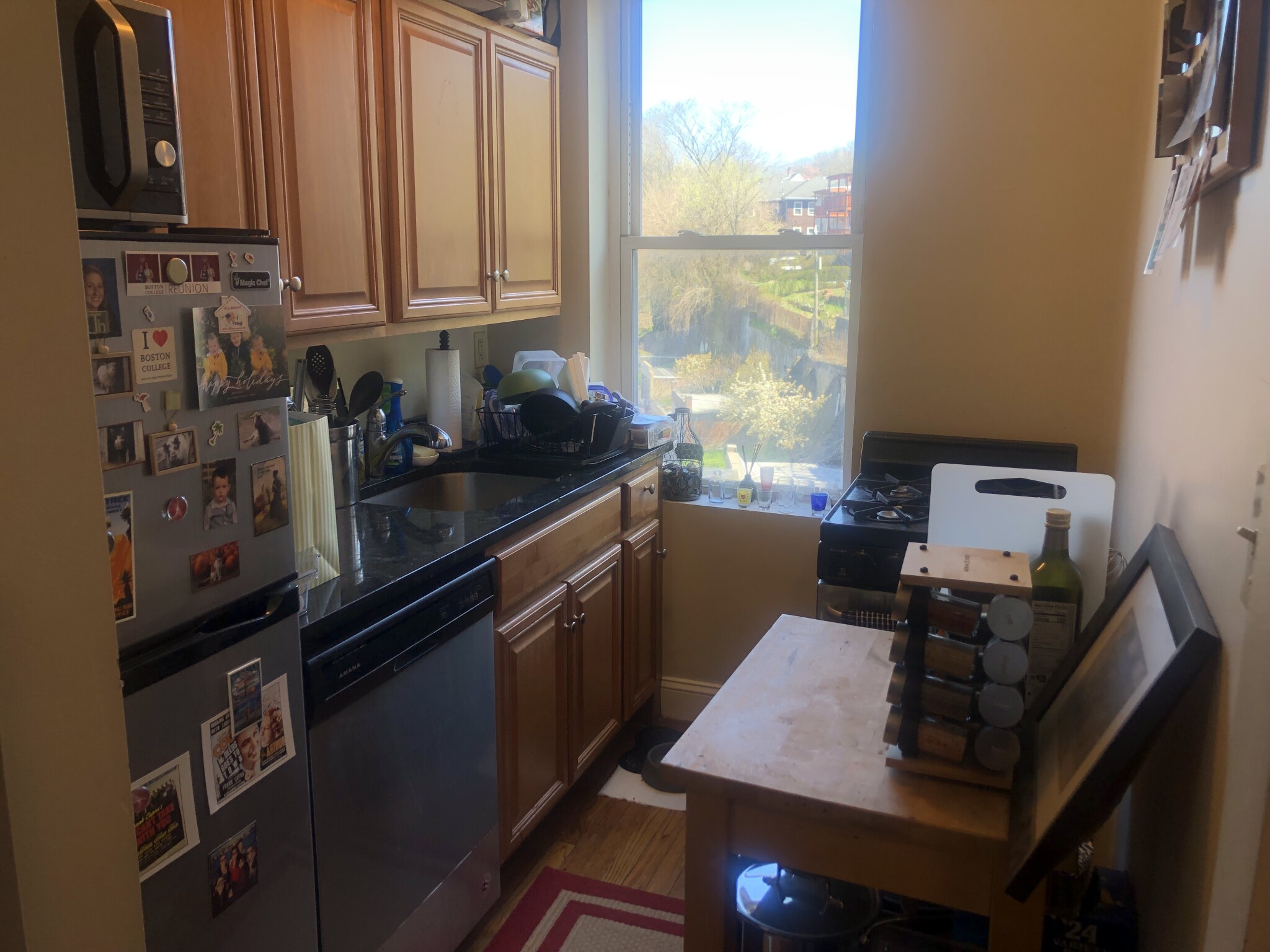 1 bed, 1 bath apartment for rent at 110 Brainerd Rd Unit 18, Allston — photo 3 of 19