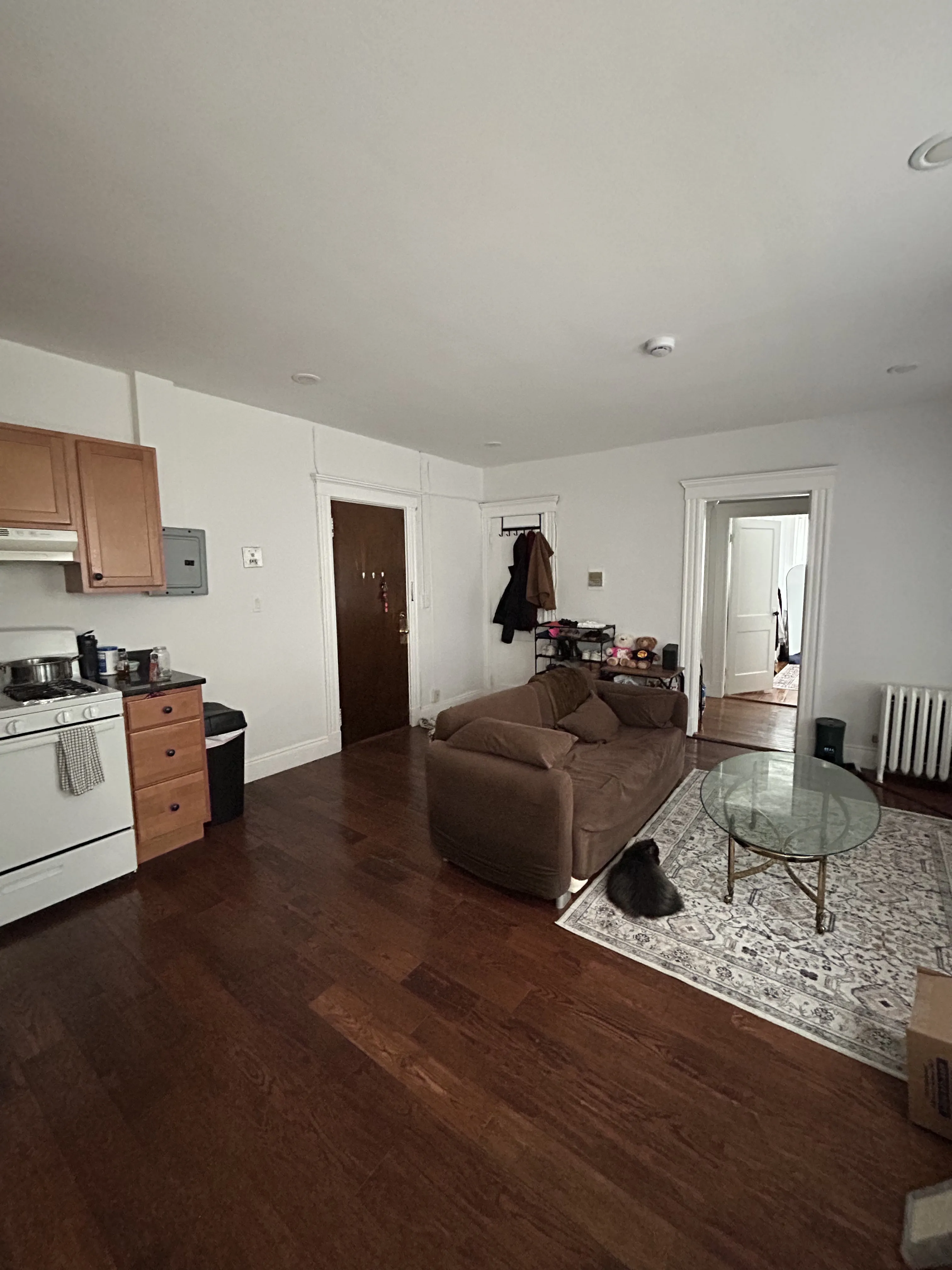 2 bed, 1 bath apartment for rent at 110 Brainerd Rd Unit 2, Allston — photo 3 of 28