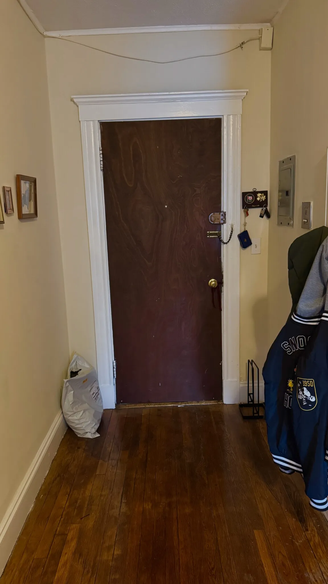 1 bed, 1 bath apartment for rent at 110 Brainerd Rd Unit 5, Allston — photo 7 of 18