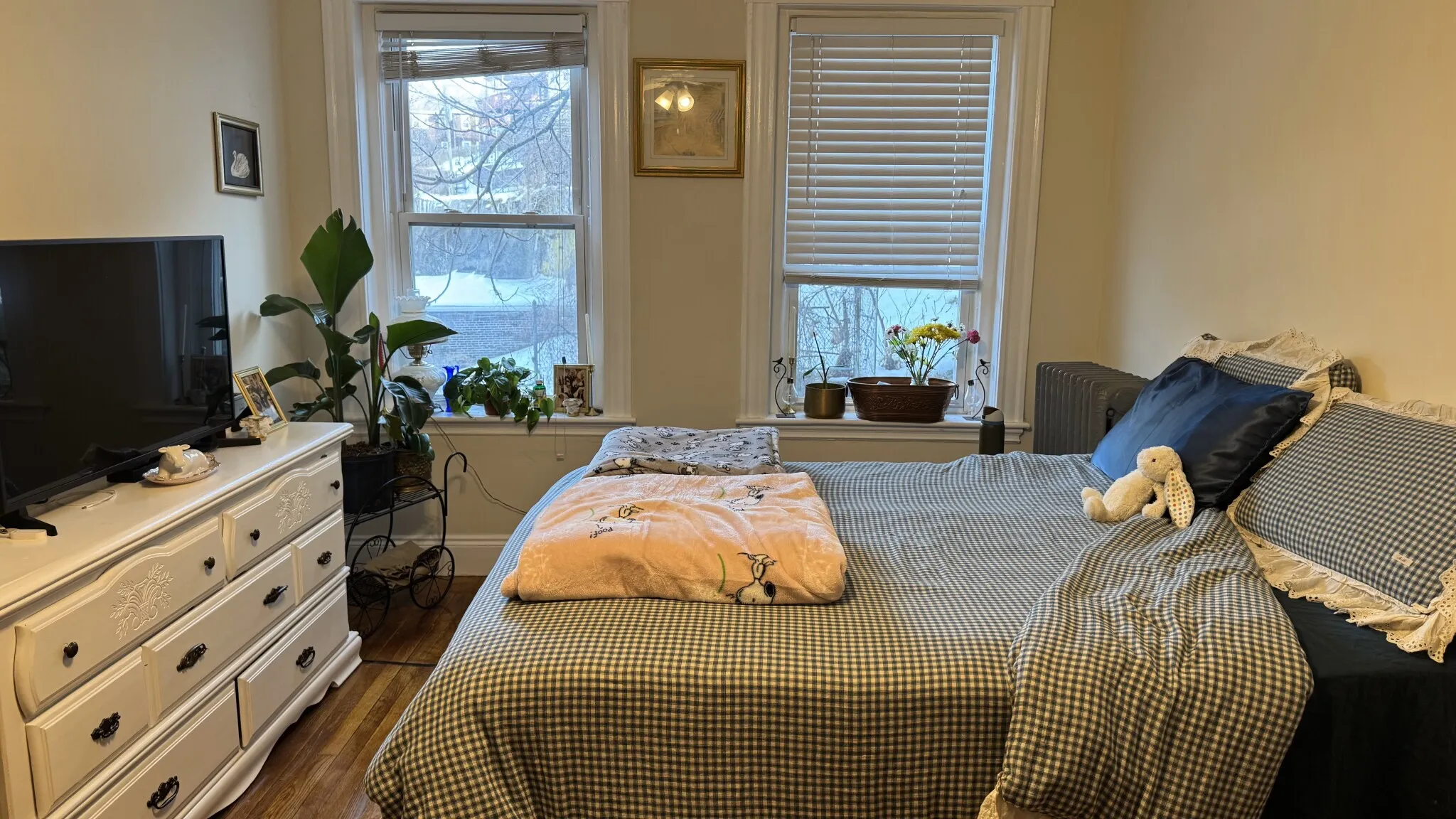 1 bed, 1 bath apartment for rent at 110 Brainerd Rd Unit 5, Allston — photo 2 of 18