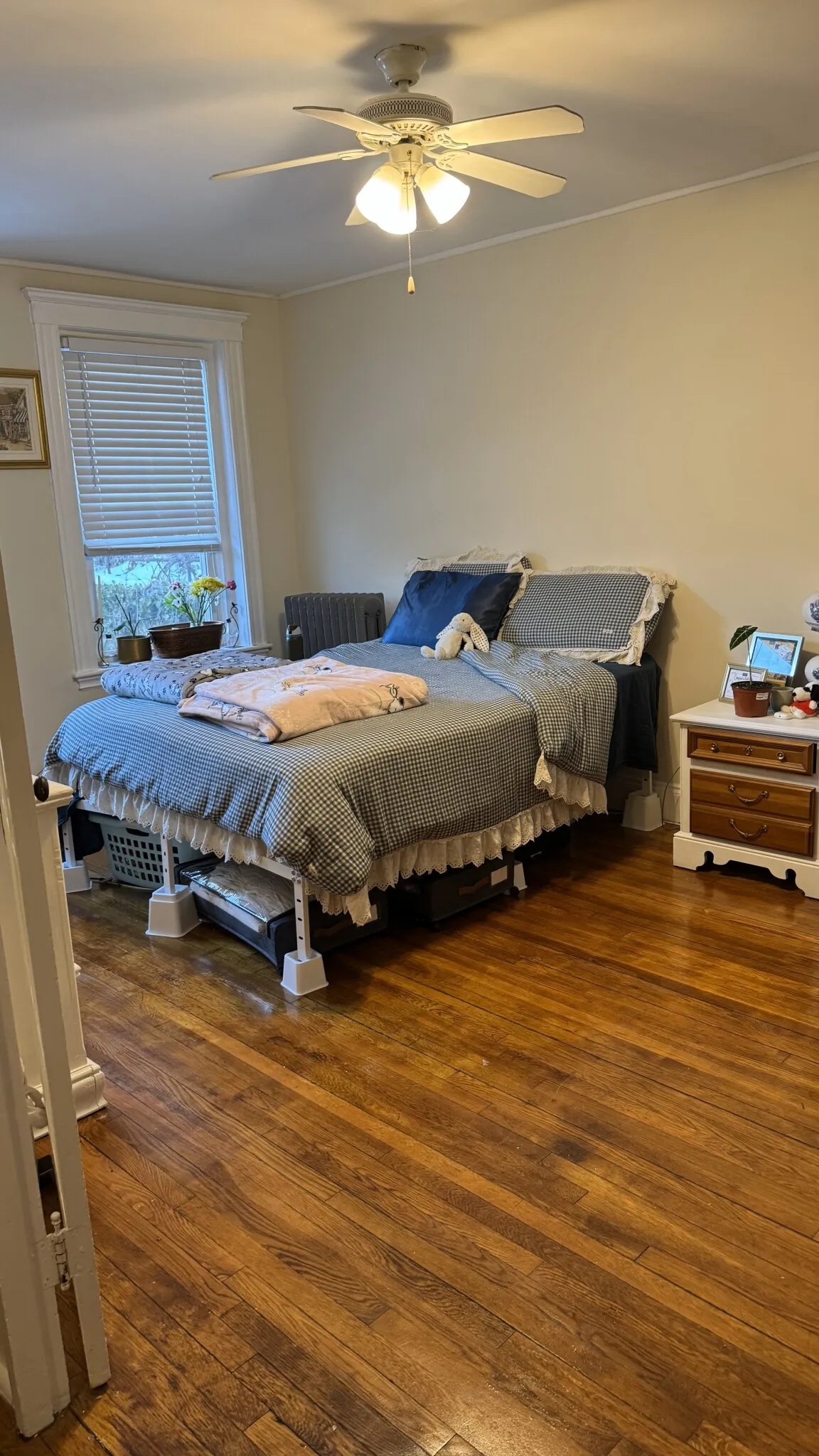 1 bed, 1 bath apartment for rent at 110 Brainerd Rd Unit 5, Allston — photo 3 of 18