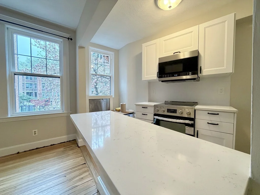 1 bed, 1 bath apartment for rent at 110 Lanark Rd Unit 8, Brighton — photo 7 of 20